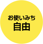 お使いみち自由